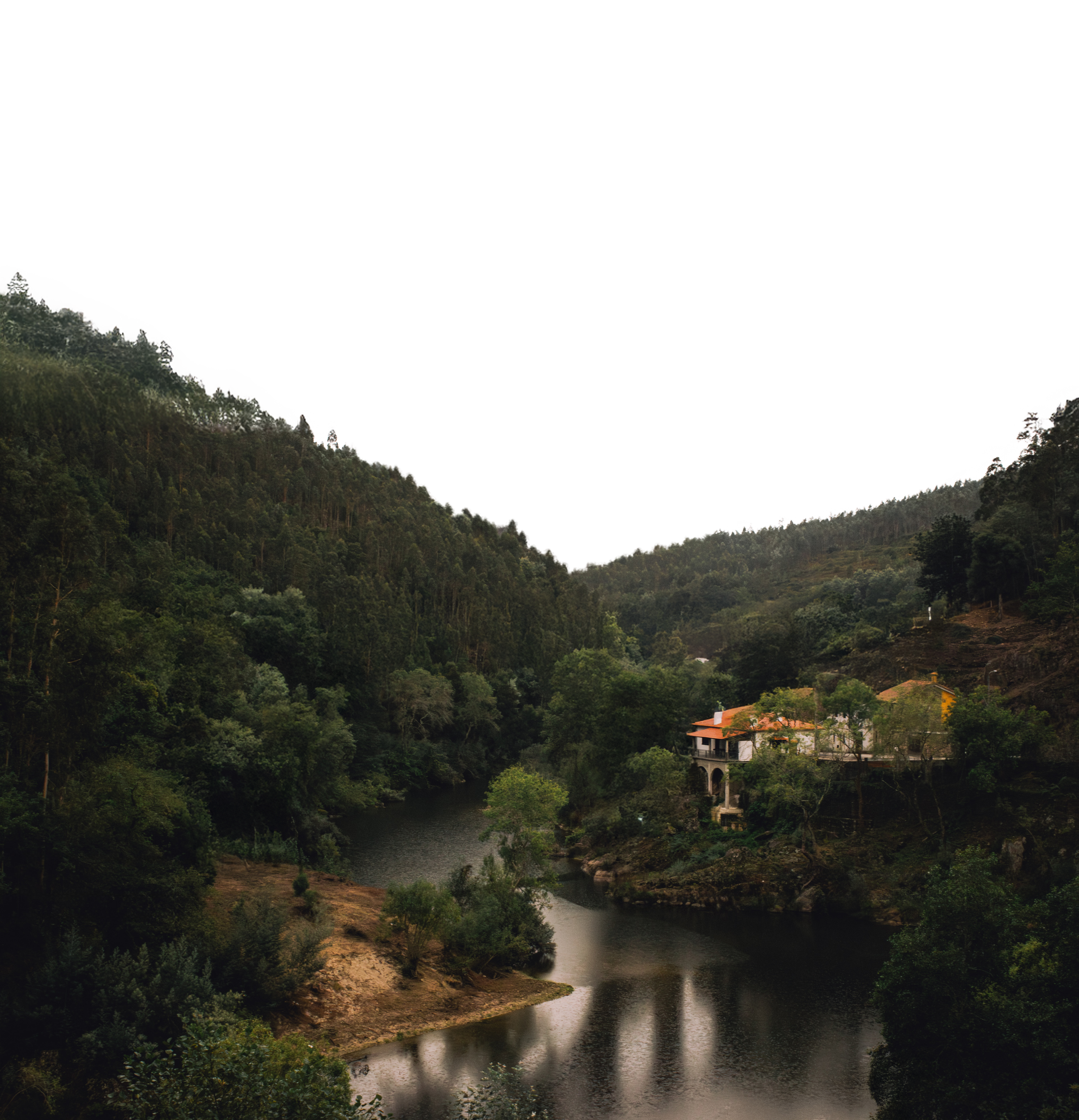 Árvores Próximas Parallax