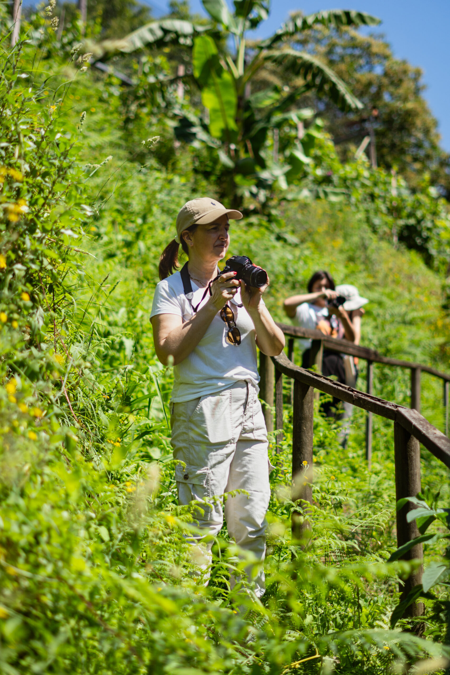Fotografia da Galeria de 'V Caminhada Fotográfica #VERSEVER - Pessegueiro do Vouga'