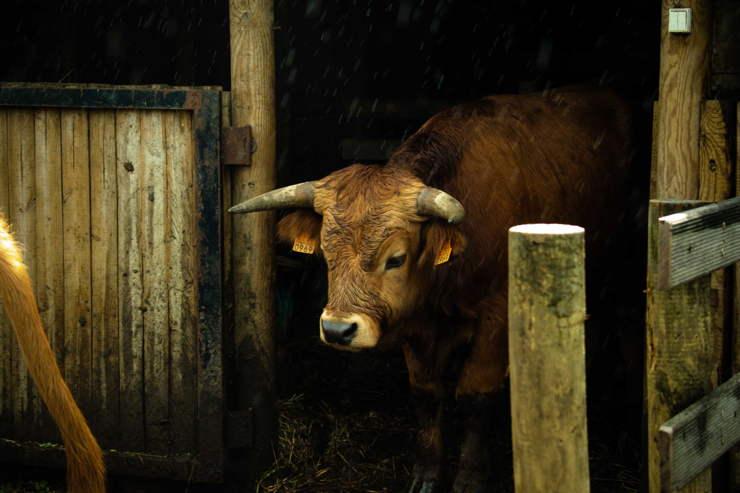 Fotografia da Galeria de 'II Caminhada Fotográfica #VERSEVER - Silva Escura'