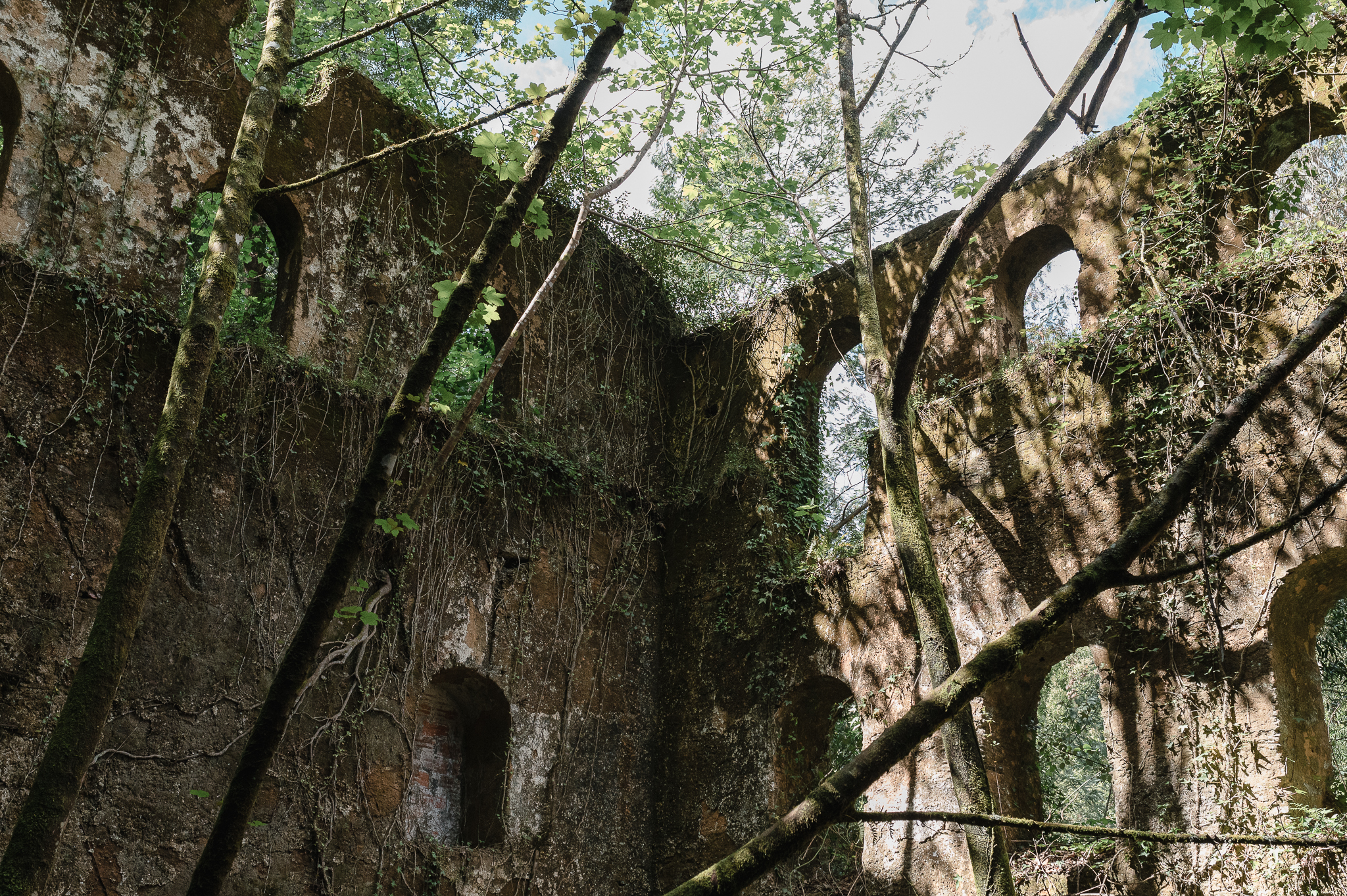 Fotografia da Galeria de 'Onde o Bom se Torna Mau - Caminhada Turística'