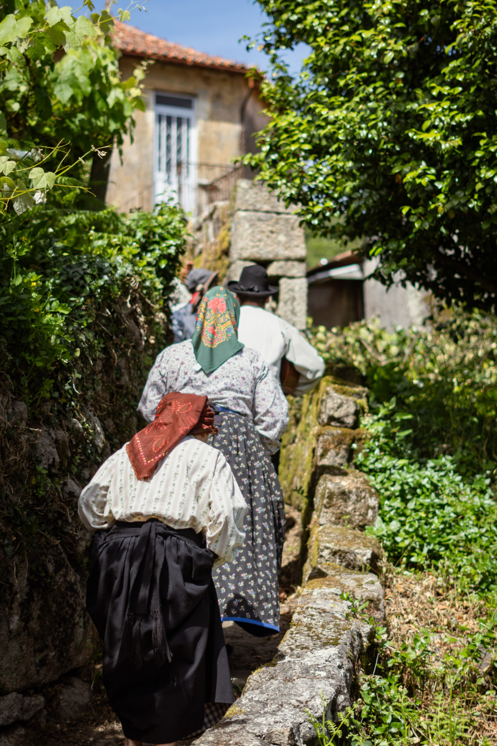 Fotografia da Galeria de 'IV Caminhada Fotográfica #VERSEVER - Talhadas'