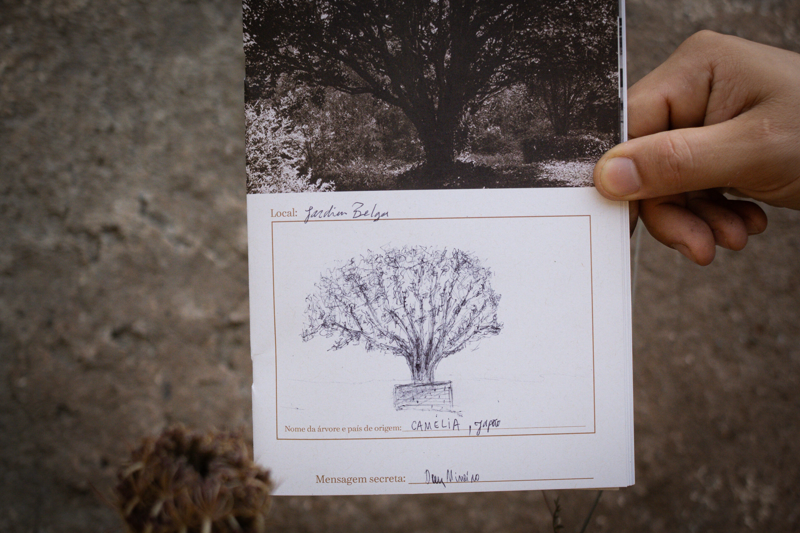 Fotografia da Galeria de 'Expedição Braçal'