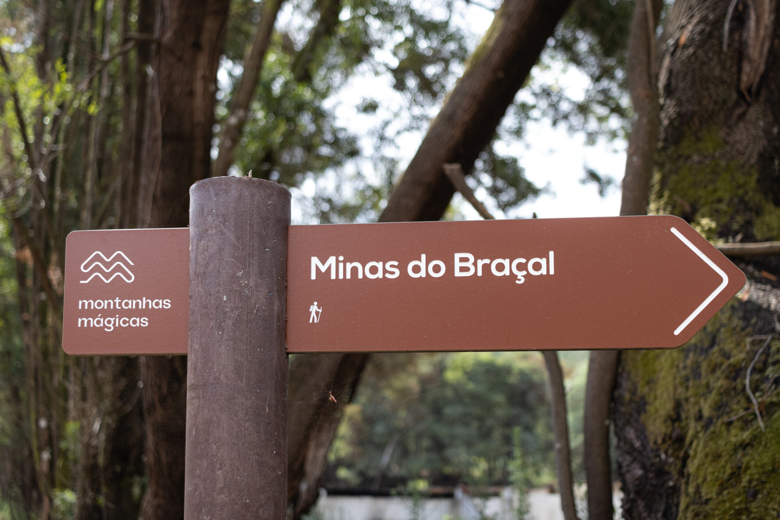 Fotografia da Galeria de 'Expedição Braçal'