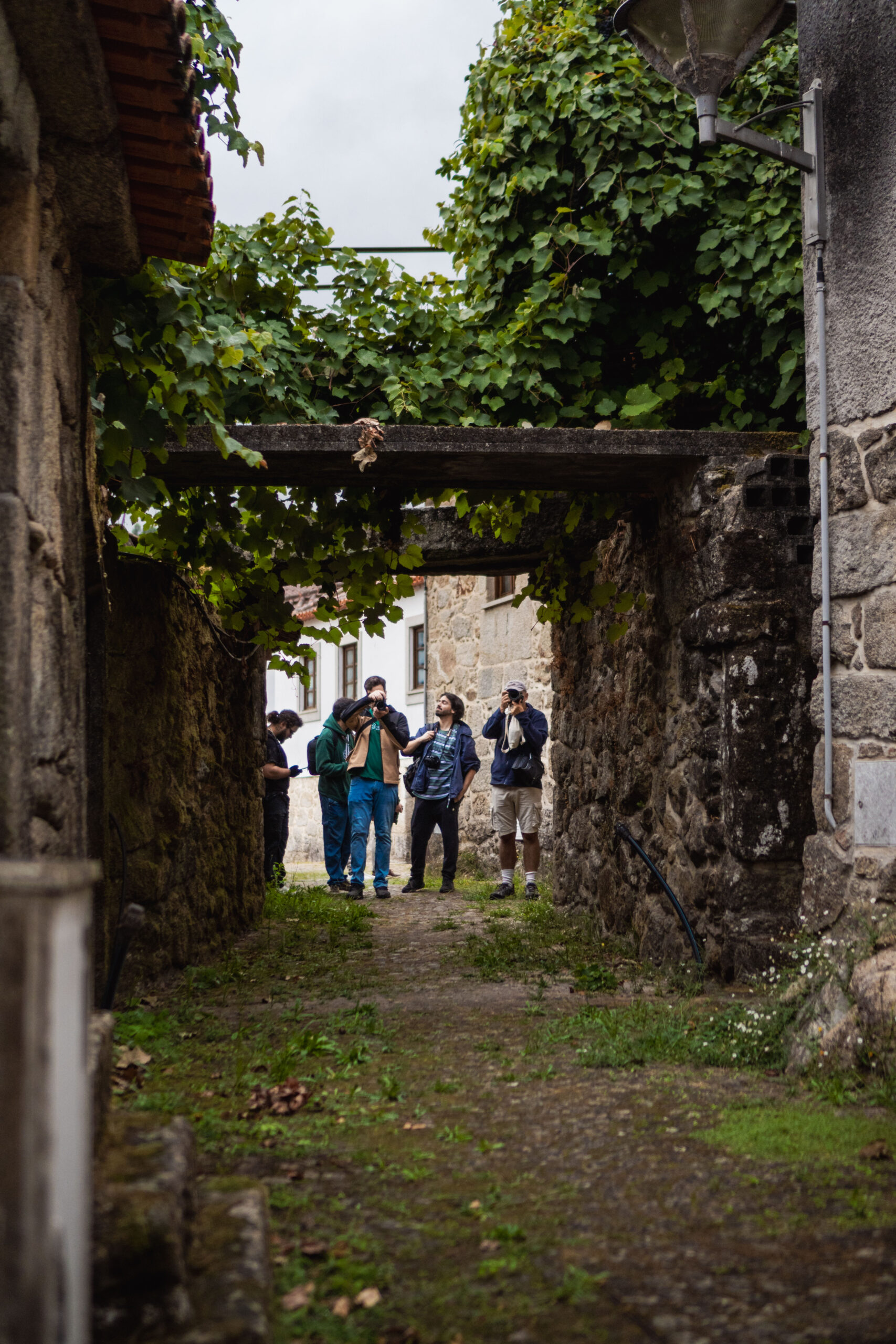 Fotografia da Galeria de 'XII Caminhada Fotográfica #VERSEVER - Couto de Esteves'