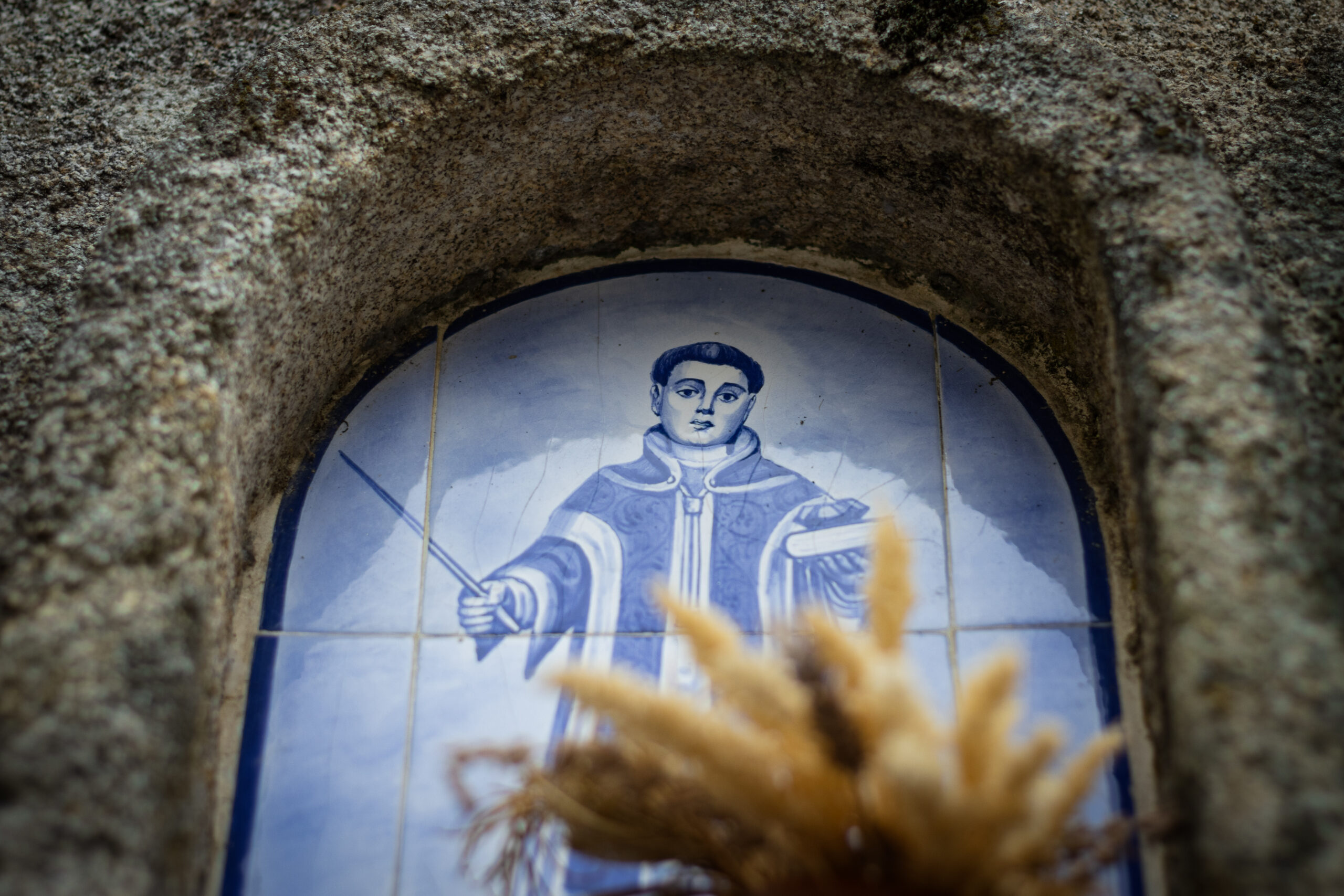 Fotografia da Galeria de 'XII Caminhada Fotográfica #VERSEVER - Couto de Esteves'