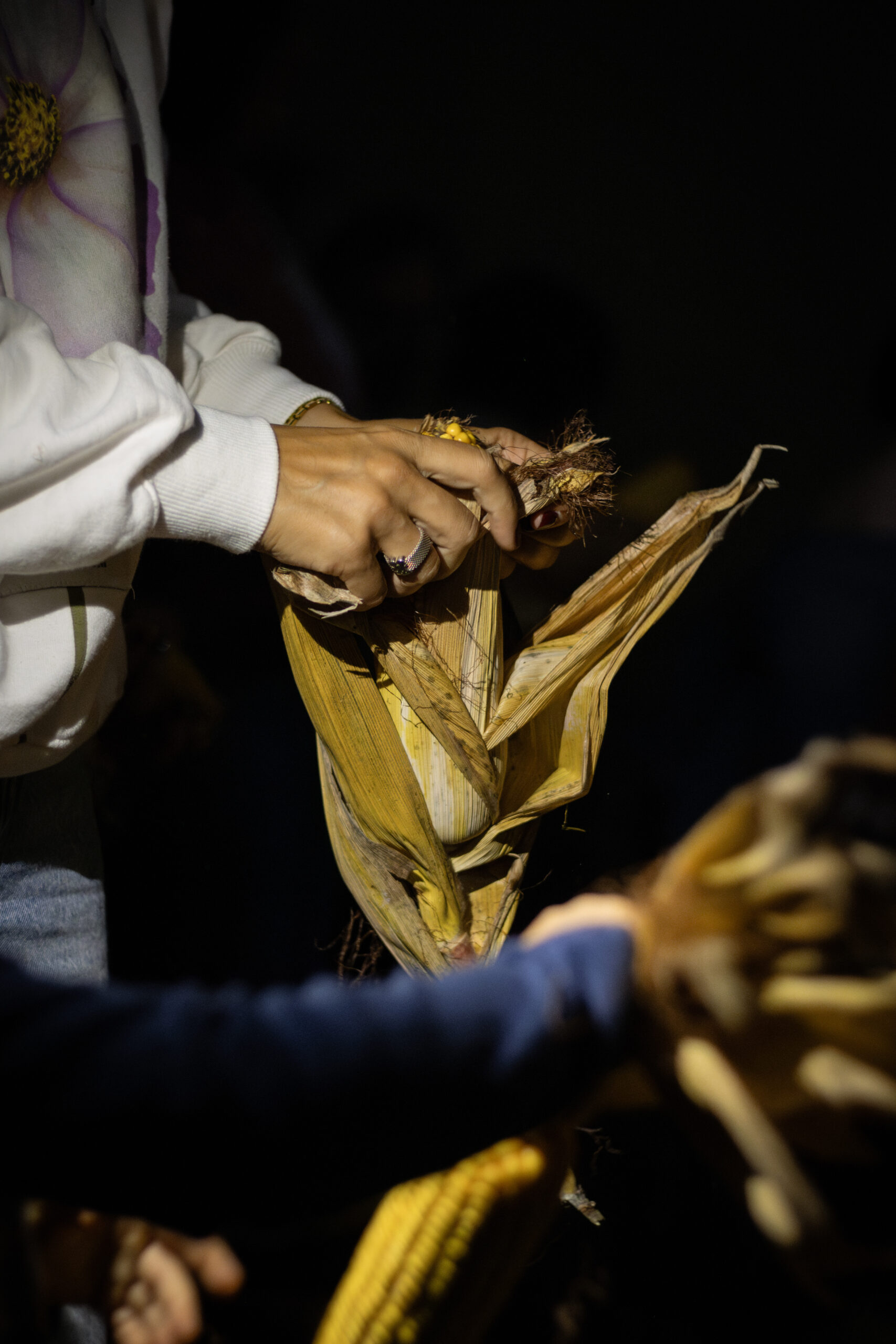 Fotografia da Galeria de 'Desfolhada Tradicional - ACS Couto de Esteves'