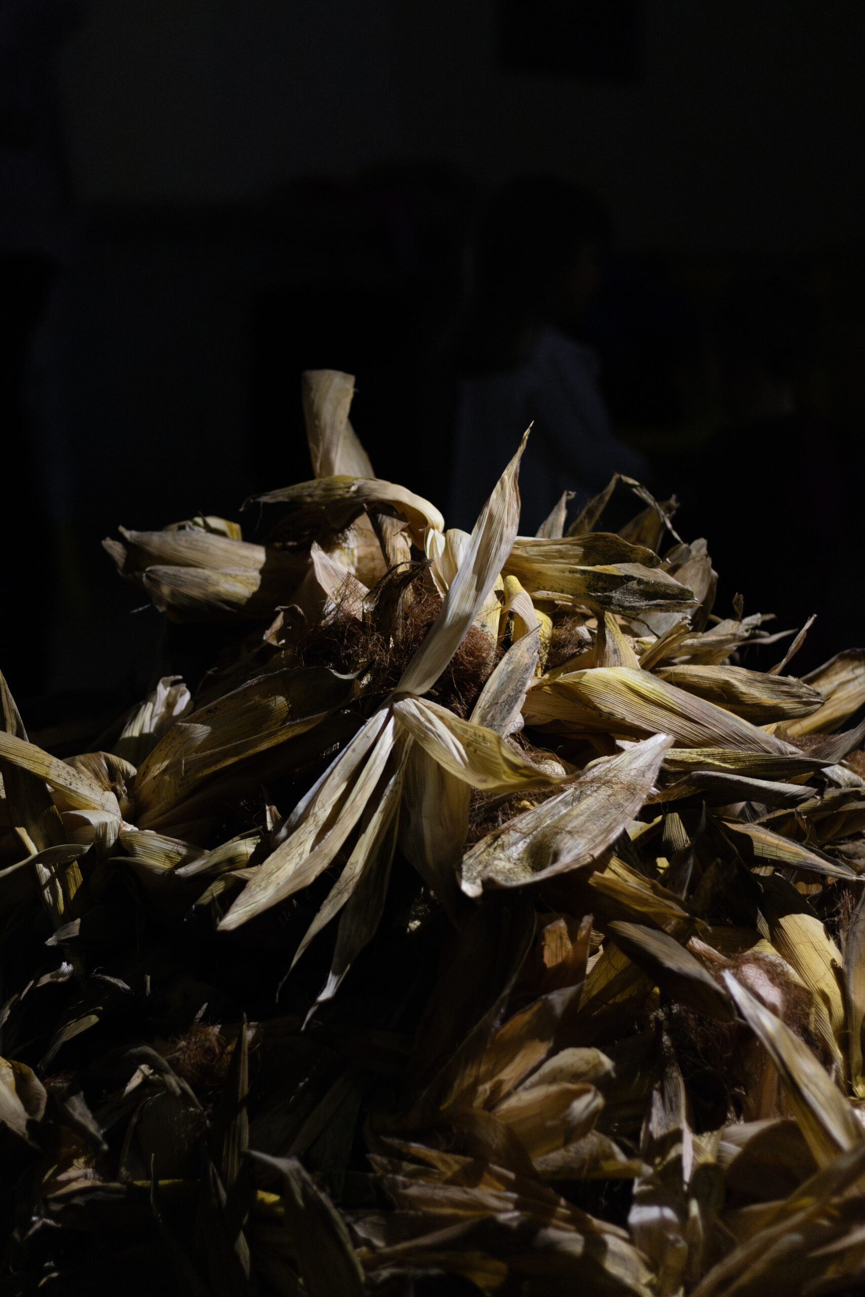 Fotografia da Galeria de 'Desfolhada Tradicional - ACS Couto de Esteves'