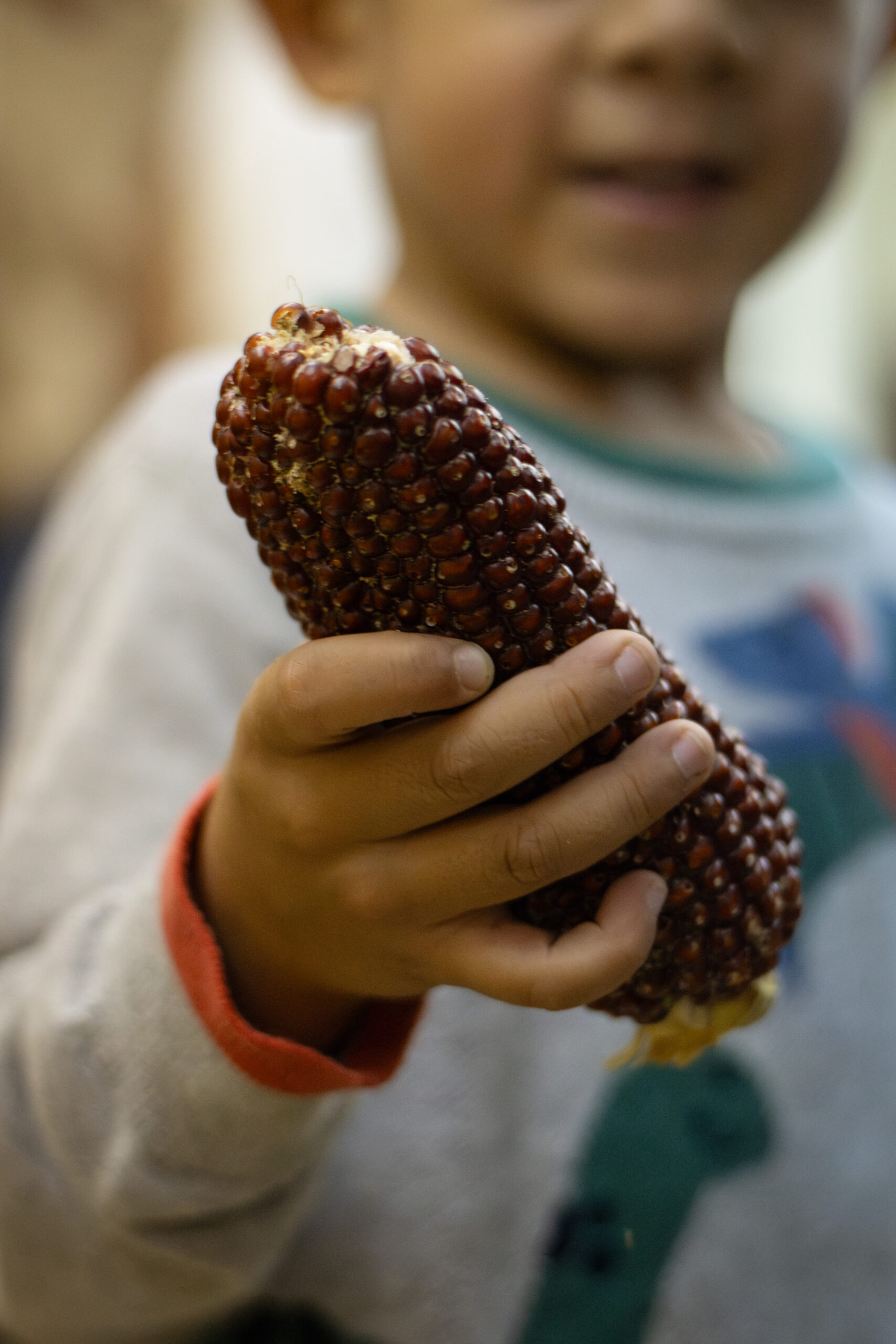 Fotografia da Galeria de 'Desfolhada Tradicional - ACS Couto de Esteves'