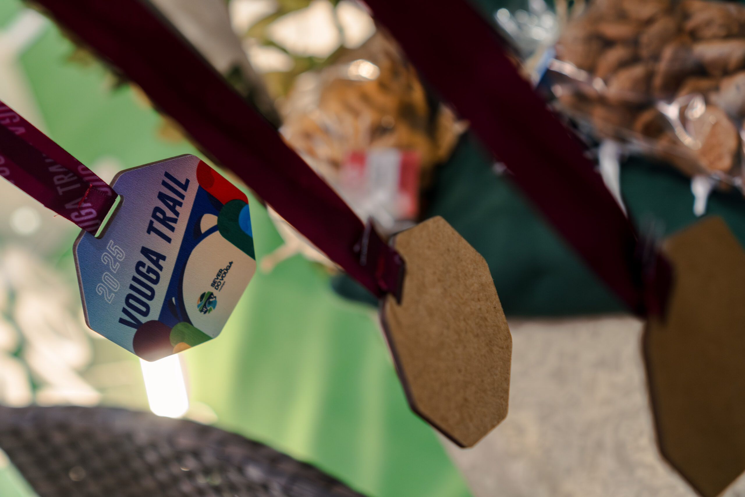 Fotografia da Galeria de 'Vouga Trail 2025'